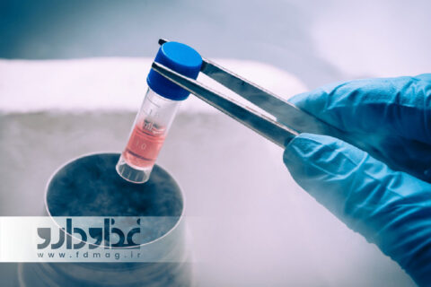 سلول درمانی - مجله خبری غذا و دارو